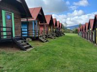 20240929_120046 (1024x768).jpg